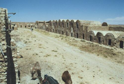 Les ghorfas (greniers) prés de Medenine: b22-100