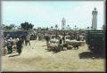 Marché berbère dans un village prs de Zarzis: b02-100